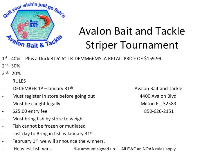 Avalon bait and tackle striper tournament