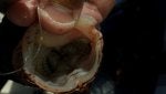 20140412_165827.jpg