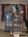 Cage Product Parakeet Furniture Room