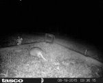 HUNT0018.jpg