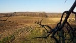 Natural landscape Nature Natural environment Tree Nature reserve