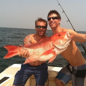 Solid red snapper