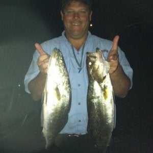 Two nice ones 4.5 and 5lb caught both of these in deep water around a marina on #10 Corky.